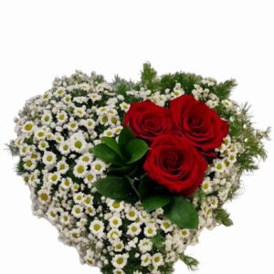 Cuore di margherite e rose rosse