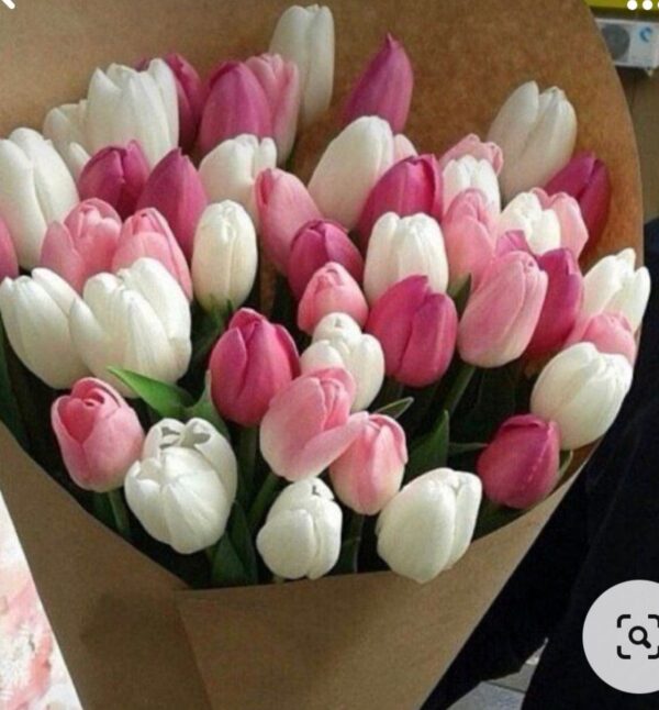 Bouquet 30 tulipani