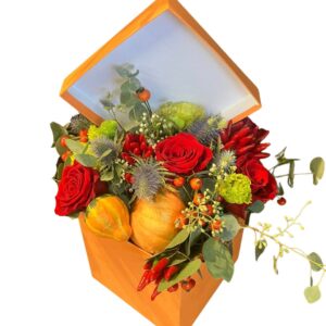 Scatola fiorita autunnale 1