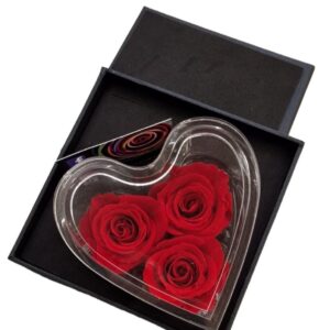 Scatola cuore con tre rose rosse stabilizzate
