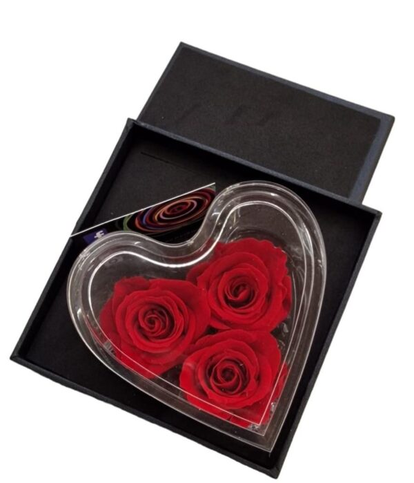 Scatola cuore con tre rose rosse stabilizzate
