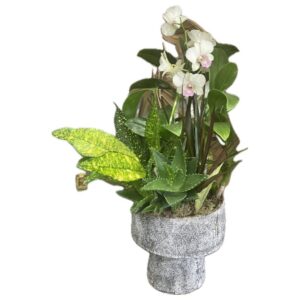 Composizione in ceramica