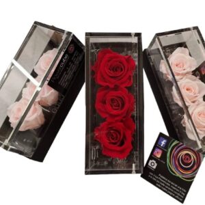 Tre rose stabilizzate piccole