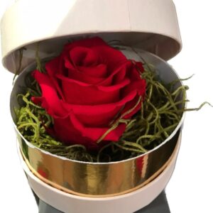 Scatola regalo con rosa stabilizzata