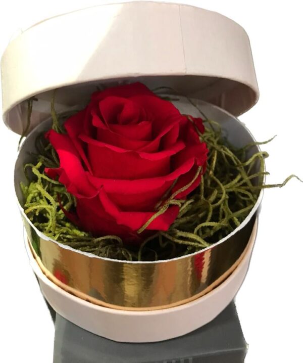 Scatola regalo con rosa stabilizzata