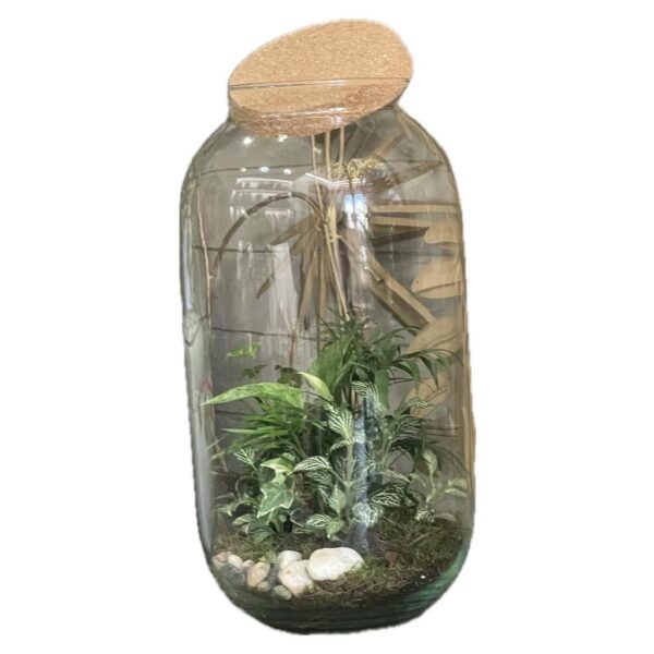 Vivarium