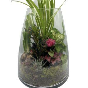 Vivarium